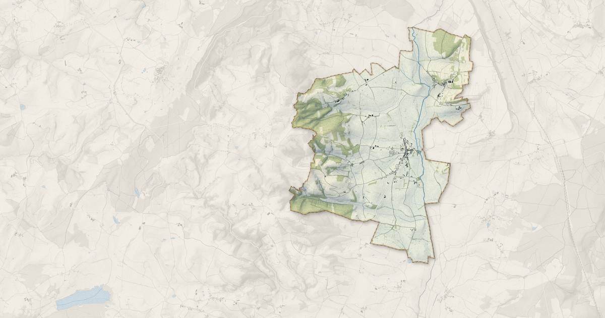 Portrait cartographique de Joncy : relief, eau, forêts, bâti et voies, calculés à partir des données de l'IGN