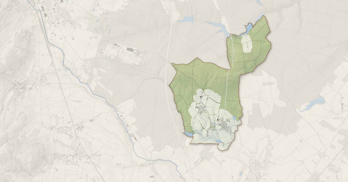 Portrait cartographique de Lessard-le-National : relief, eau, forêts, bâti et voies, calculés à partir des données de l'IGN