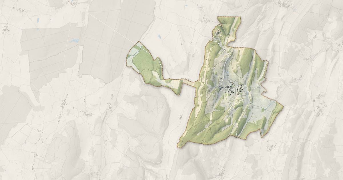 Portrait cartographique de Martailly-lès-Brancion : relief, eau, forêts, bâti et voies, calculés à partir des données de l'IGN