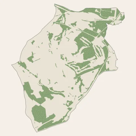 Montchanin : bois, forêts et landes