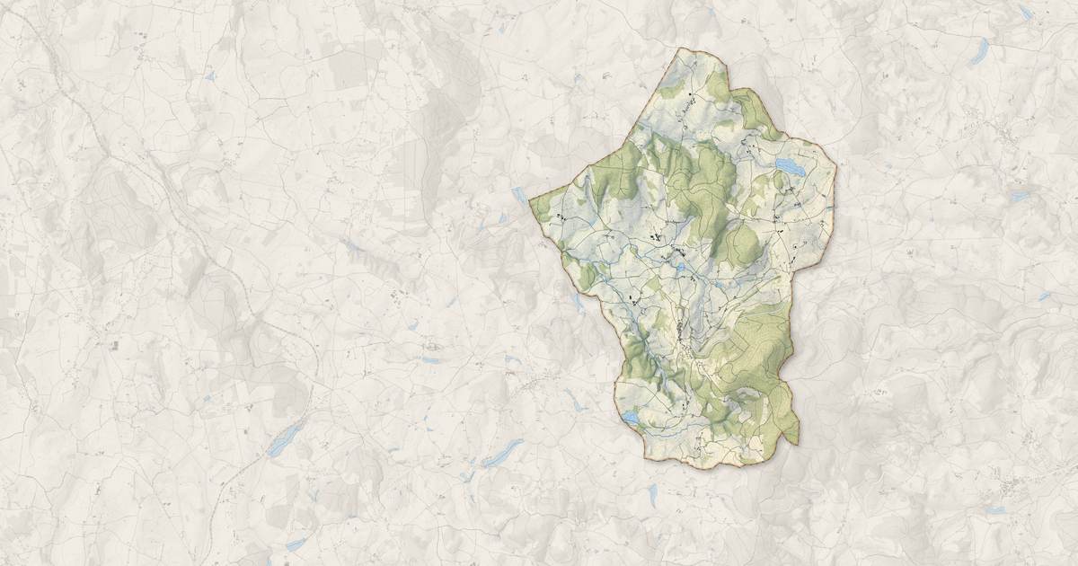 Portrait cartographique de Montmelard : relief, eau, forêts, bâti et voies, calculés à partir des données de l'IGN