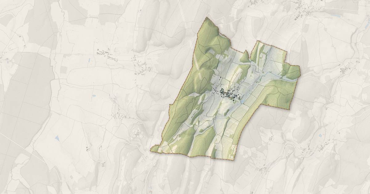 Portrait cartographique de Royer : relief, eau, forêts, bâti et voies, calculés à partir des données de l'IGN