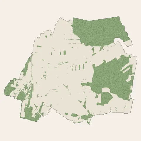 Sennecey-le-Grand : bois, forêts et landes