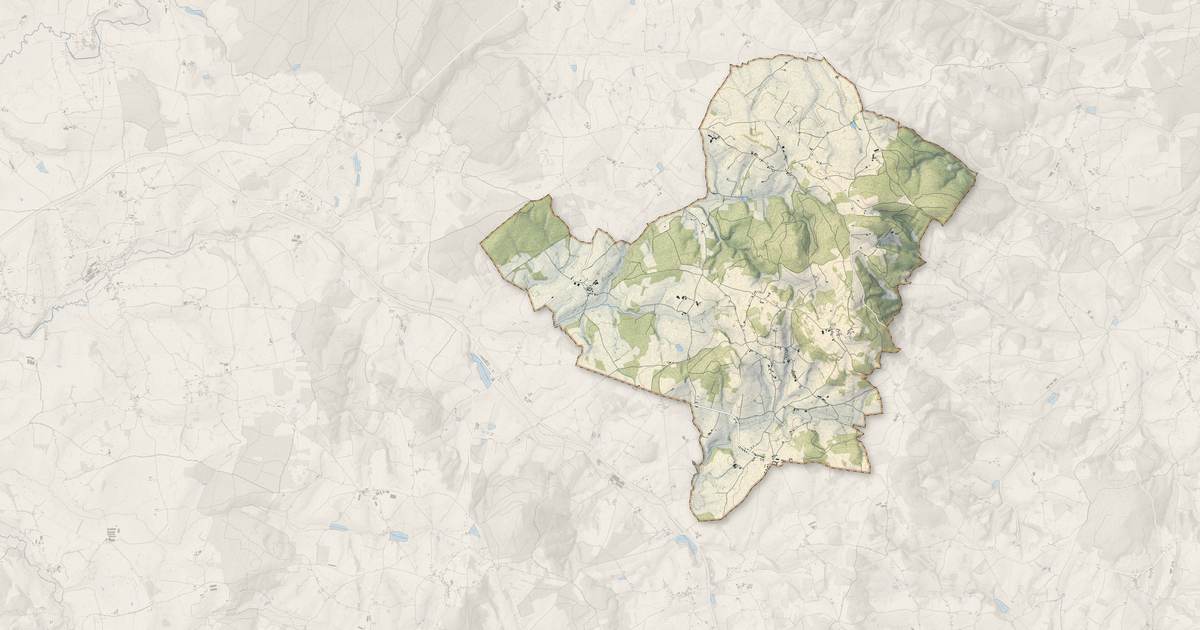 Portrait cartographique de Suin : relief, eau, forêts, bâti et voies, calculés à partir des données de l'IGN