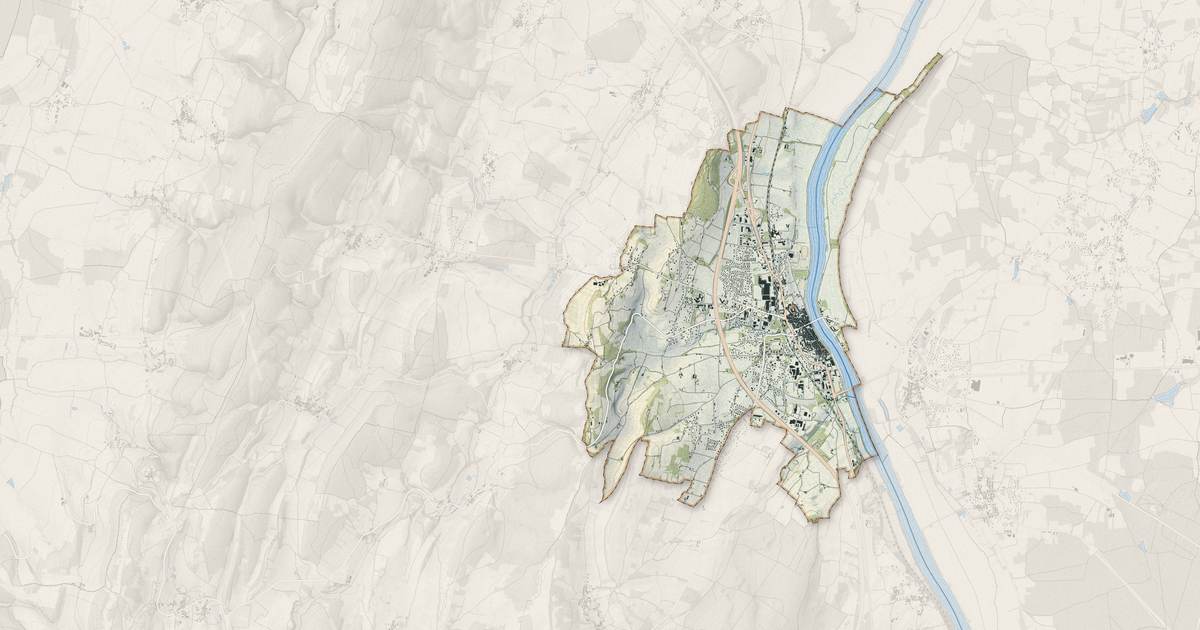 Portrait cartographique de Tournus : relief, eau, forêts, bâti et voies, calculés à partir des données de l'IGN