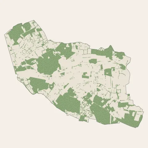Ruaudin : bois, forêts et landes
