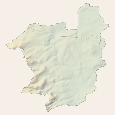 Savigné-l'Évêque : relief