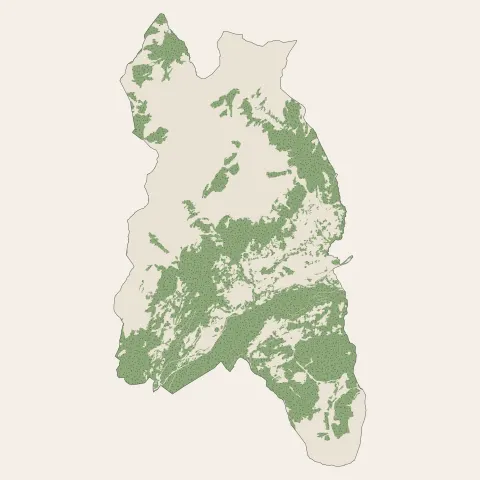 Aime-la-Plagne : bois, forêts et landes