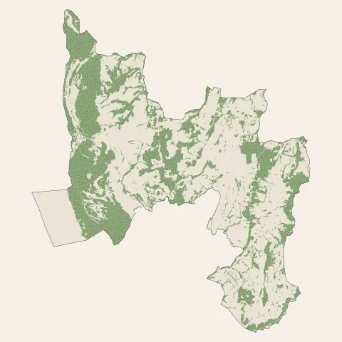 Entrelacs : bois, forêts et landes