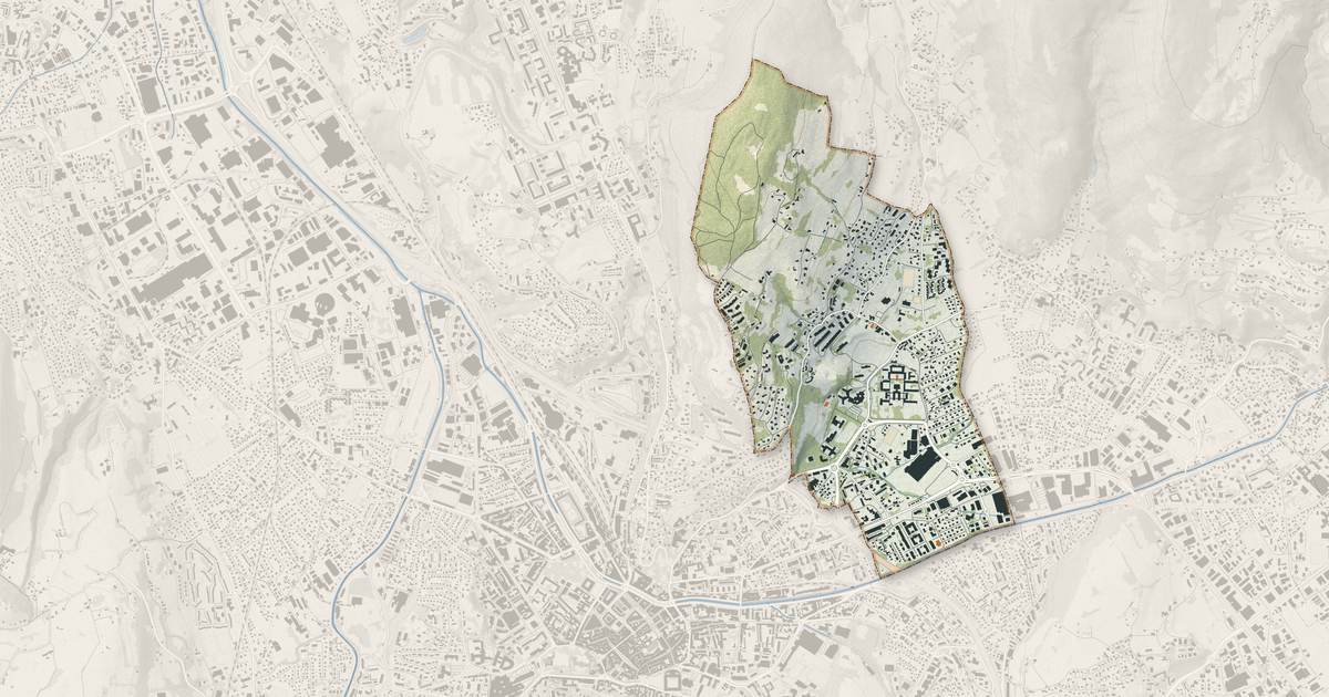 Portrait cartographique de Bassens : relief, eau, forêts, bâti et voies, calculés à partir des données de l'IGN