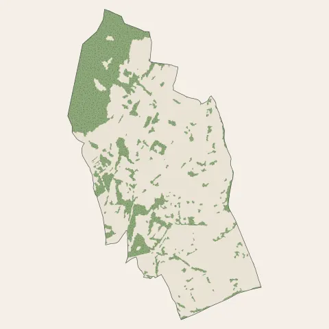 Bassens : bois, forêts et landes