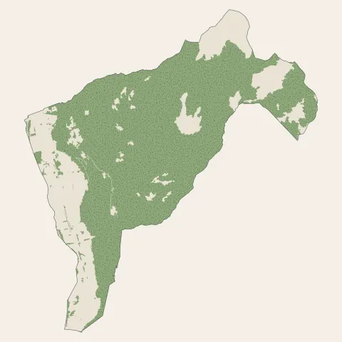 La Bâthie : bois, forêts et landes