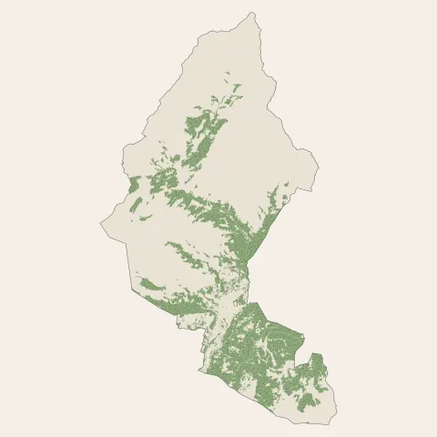 Bourg-Saint-Maurice : bois, forêts et landes