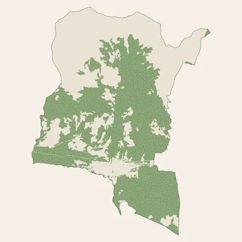 Bozel : bois, forêts et landes