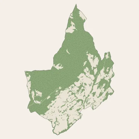 Mercury : bois, forêts et landes