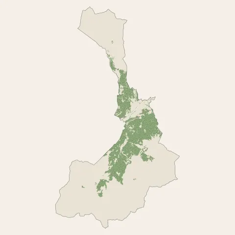Modane : bois, forêts et landes