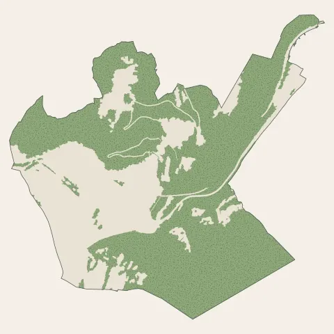 Moûtiers : bois, forêts et landes