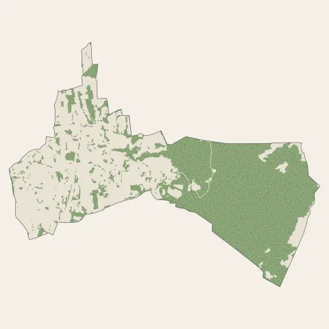 Mouxy : bois, forêts et landes