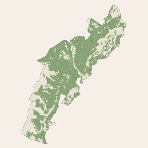 La Léchère : bois, forêts et landes