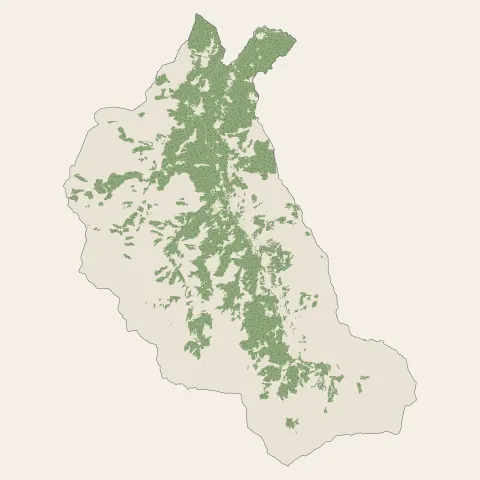 Les Belleville : bois, forêts et landes
