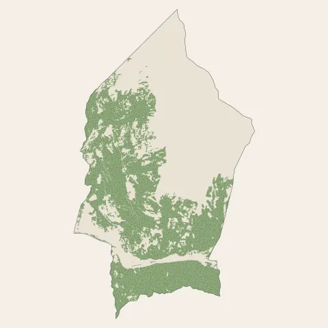 Saint-Michel-de-Maurienne : bois, forêts et landes