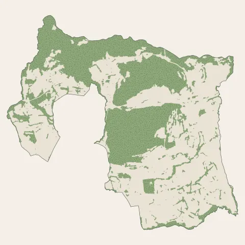 Allonzier-la-Caille : bois, forêts et landes