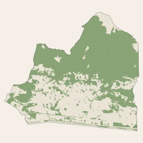 Ayse : bois, forêts et landes