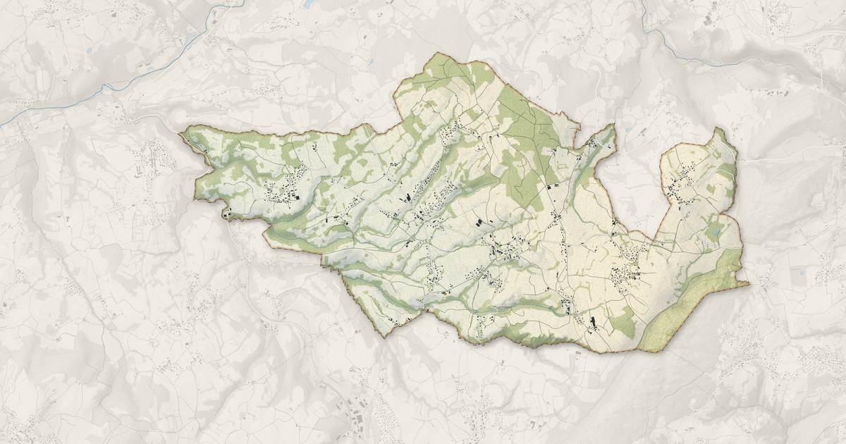 Portrait cartographique de Choisy : relief, eau, forêts, bâti et voies, calculés à partir des données de l'IGN