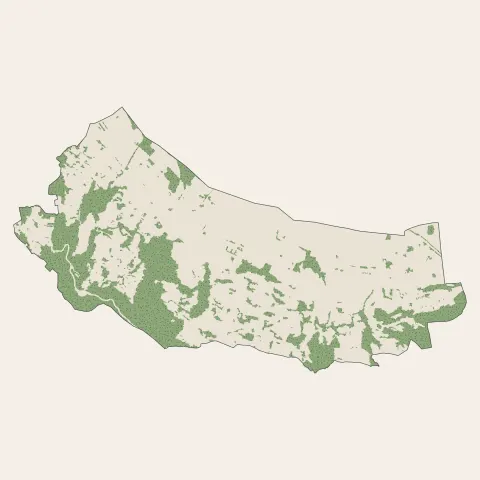 Domancy : bois, forêts et landes