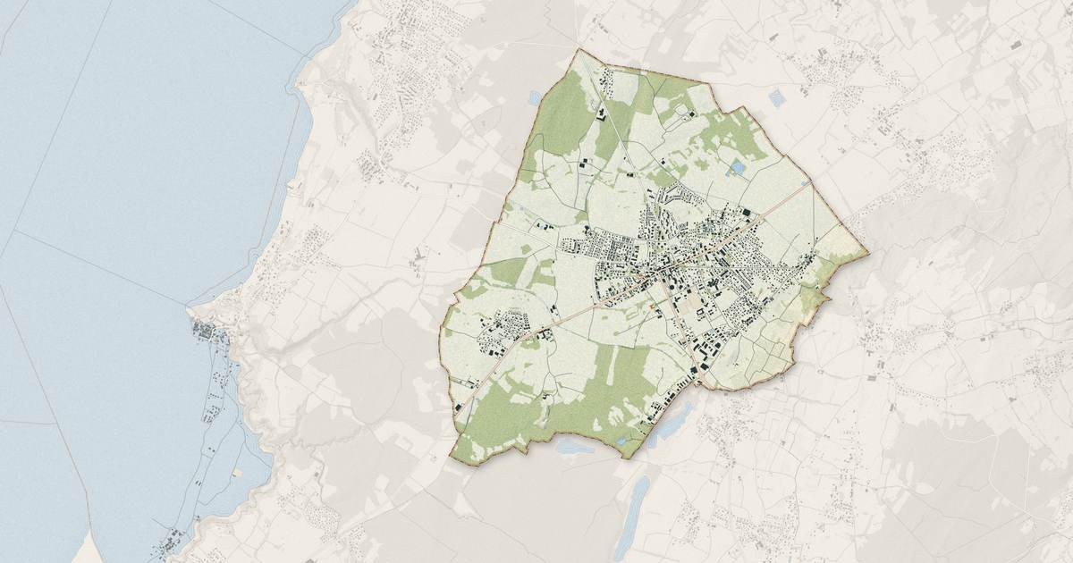 Portrait cartographique de Douvaine : relief, eau, forêts, bâti et voies, calculés à partir des données de l'IGN