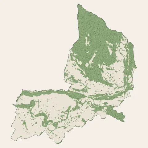 Fillinges : bois, forêts et landes
