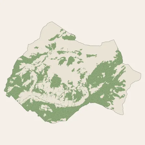 Le Grand-Bornand : bois, forêts et landes