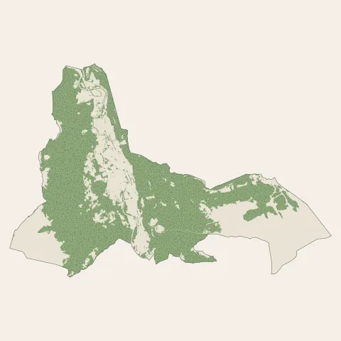 Magland : bois, forêts et landes