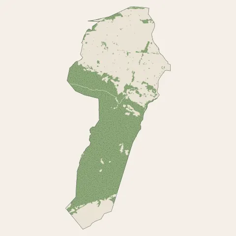 Marnaz : bois, forêts et landes