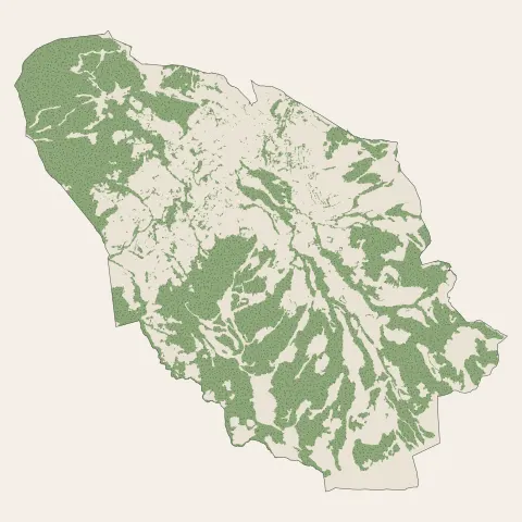 Megève : bois, forêts et landes