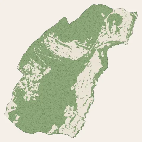Monnetier-Mornex : bois, forêts et landes