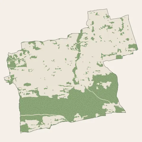 Neuvecelle : bois, forêts et landes