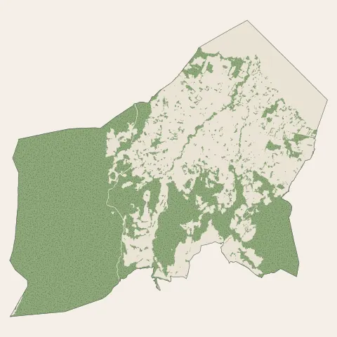 Saint-Jorioz : bois, forêts et landes
