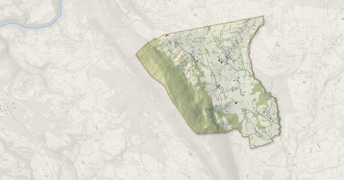 Portrait cartographique de Savigny : relief, eau, forêts, bâti et voies, calculés à partir des données de l'IGN