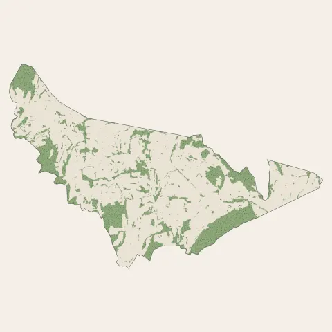 Sillingy : bois, forêts et landes