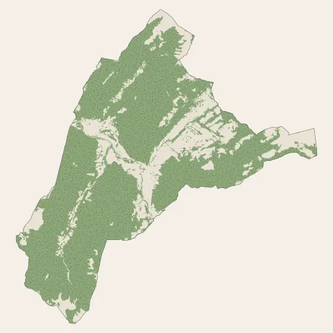 Thônes : bois, forêts et landes