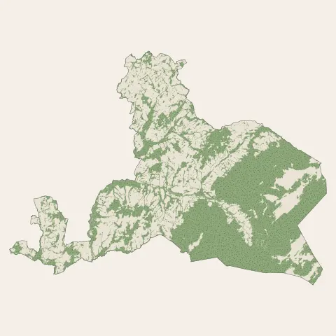 Fillière : bois, forêts et landes