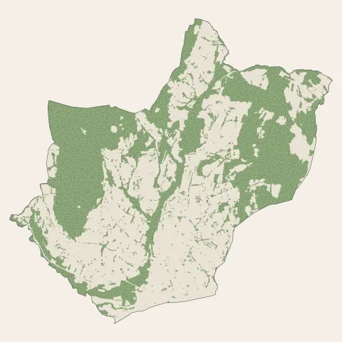Viuz-en-Sallaz : bois, forêts et landes