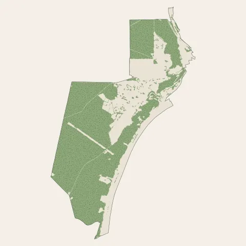 Canteleu : bois, forêts et landes