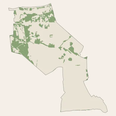 Montévrain : bois, forêts et landes