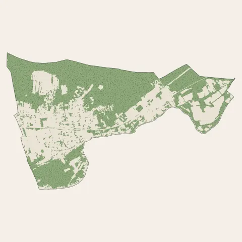 Montigny-sur-Loing : bois, forêts et landes