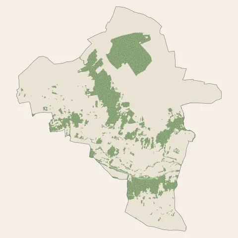 Mouroux : bois, forêts et landes