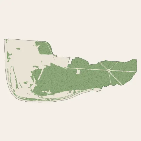 Samoreau : bois, forêts et landes