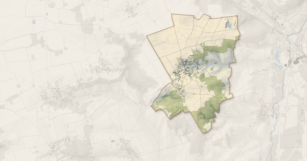 Portrait cartographique de Savins : relief, eau, forêts, bâti et voies, calculés à partir des données de l'IGN