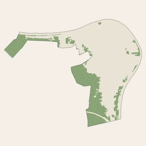 Thomery : bois, forêts et landes